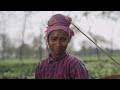 Sowing Seeds of Change - The story of Fairtrade Premium Impact in Chamong Tea Estate in India!