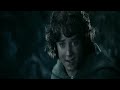 LORD OF THE RINGS PART 2 Explained In Hindi/Urdu