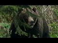 Exploring the Ancient Forests and Peaks of the Tatra Mountains | Full Documentary