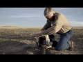 Releasing Ferrets Into Their Prairie Home | National Geographic