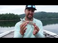 Bass Fishing with Glide Baits - The Master's Course