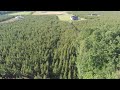 Tree Farm Drone Footage - Part 1