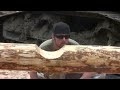 How to Notch a Log for Building a Log Home or Log Cabin Saddle Scribe Style 346xp