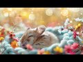 FALL ASLEEP IN UNDER 3 MINUTES - Eliminate Subconscious Negativity -  Relaxing Sleep Music