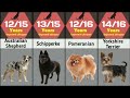 Dog lifespan compression | Dog life how many years