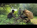 Hadzabe Primitive Eats | Porcupine Forest Barbecue Adventure | Tradition