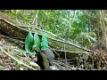 TRAIL CAM Videos: Animals in a Jungle Forest (2023) My BEST Mega Compilation!