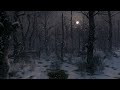 Winter Forest Ambience : Snowy Winter Nights Forest Sound 8 Hours | Owl, Crow Sounds