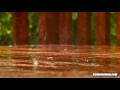 Rain On Deck | Sleep, Study or Focus With Calming Rainstorm Nature Video | White Noise 10 Hours