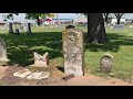 Cemetery History: Masonic Hands, Tree Stones, & more!