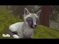 The White Fox With Pink Eyes | Wildcraft Story | Sad + Romance Story