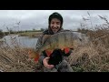Quest for a UK 4lb Perch Part 1 (UL Lure Fishing)
