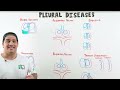 Pleural Diseases: Pleural Effusion, Pneumothorax | Clinical Medicine