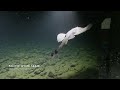 Hydrothermal Vents | Oases in the Deep Sea
