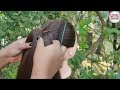 New Ponytail Hairstyle With Trick || Everyday Hairstyle || Easy School, Collage Girl Hairstyle ||
