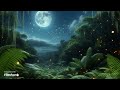 Sonido de ambiente de noche tropical (Sound of Tropical Night atmosphere)