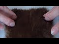 Way to Sew Fur Pelts Together. Sewing of Natural Fur Pelts by Hand Stitch