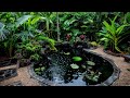 DIY Pond Ideas for Your Backyard with Lush Tropical Garden: Creative Outdoor Space Designs