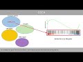 Gene set analysis - GSEA and Fisher's exact test