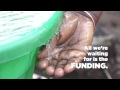Water Wells for Africa - Today is the Day