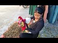 single mom ; Harvesting peanuts for sale - 5 month old baby got sick and had to be hospitalized