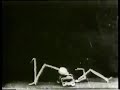 The Merry Skeleton (1898)