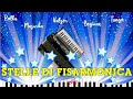 Stelle di Fisarmonica | I Classici del Folk Liscio Italia 2024 |Tango, Tarantella, Valzer