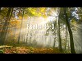 Lead Me Lord: Christian Piano | Soaking Worship & Prayer Music With Autumn🍁Divine Melodies
