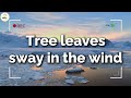 Tree leaves sway in the wind ( Video Lyrics )