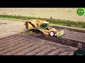 The Most Modern Agriculture Machines That Are At Another Level,How To Harvest Chili Pepper In Farm▶5