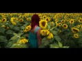September Sunflowers - Field of Flowers