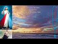 Divine Mercy Chaplet by the Ocean (Virtual)