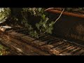 Relaxing Piano Music • Beautiful Relaxing Music for Sleep and Stress Relief [ 1 HOUR ] 🎼🎹🍃🍃