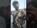 secret pond bass fishing zigtown