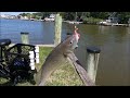 We Went Fishing In The Canal In Ocean Pines MD #saltwaterfishing #fishing