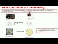Koch's postulates explained | Limitations of Koch's postulates |