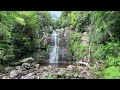 New South Wales: Wollongong, Kiama Blowhole, Minnamurra Rainforest