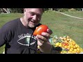 Change of Seasons Organic Backyard Food Garden Harvest