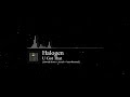 Halogen - U Got That {slowed + reverb}