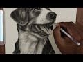 Realistic Dog Drawing | Charcoal Pencil Drawing | Amit Kumar | Drawing for Beginners | Pencil Sketch