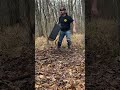 Traps do not break legs/paws. How to release a Bobcat..