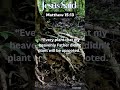 Jesus Said ● Matthew  15:13 ● #ebibleclub #jesussaid #bibleverse