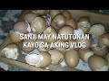 HOW TO CHECK IF AN EGG IS FERTILE OR INFERTILE / Fertile and Infertile Eggs During Incubation