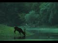 Zöld Erdőben / In Green Forest - Hungarian Folk Song