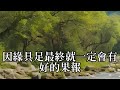 給佛菩薩供水，要用冷水，還是熱水？切記，不要愚癡！#曾仕強#民間俗語#中國文化#國學#國學智慧#佛學知識#人生感悟#人生哲理#佛教故事