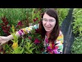 Cut Flower Farm Tour  |  Dahlia and Zinnia Abundance