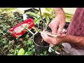 How To Successfully Graft Citrus Trees With Madison Citrus Nursery