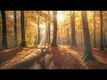 Autumnin in the Wind - 冥想音樂,放鬆音樂,瑜珈音樂,學習音樂,睡眠音樂,療癒音樂,平靜音樂,正念,緩解壓力