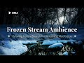 Relax Nature Sound • Partially Frozen Stream • Sounds of Nature [ 2 HOURS ]  ❄️🧊🌫️