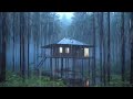 Fall Asleep With The Shoothing Sounds of Rain - ASMR, Study, Relax with Rain Sounds, rain sound